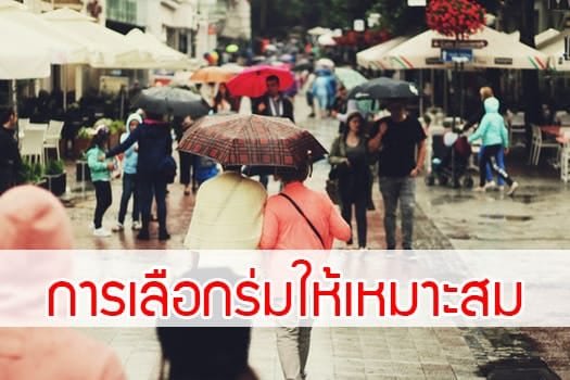 ร่มพรีเมี่ยม ราคาถูก ร่มพรีเมี่ยม ราคาถูก
