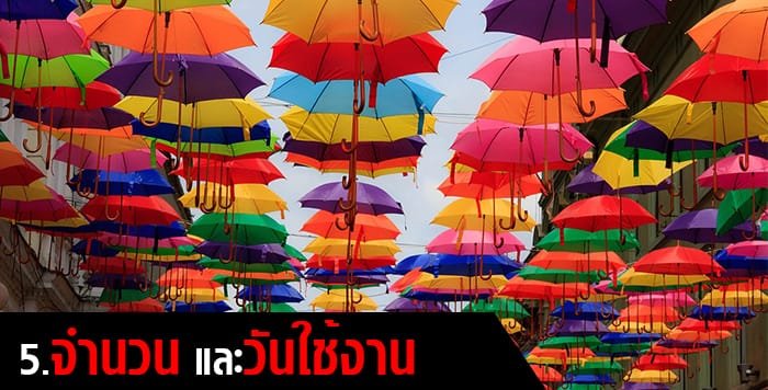จำนวน ผลิตร่ม จำนวน ผลิตร่ม