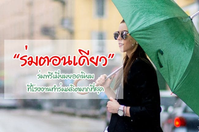 ร่มตอนเดียว ร่มตอนเดียว