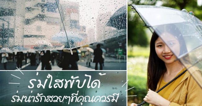 ร่มใสพับได้น่ารักๆ ร่มใสพับได้