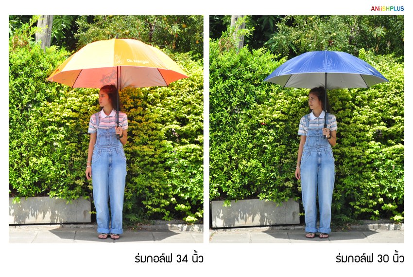 ร่มกอล์ฟ ชั้นเดียว ร่มกอล์ฟ ชั้นเดียว